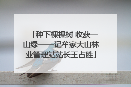 种下棵棵树 收获一山绿——记牟家大山林业管理站站长王占胜
