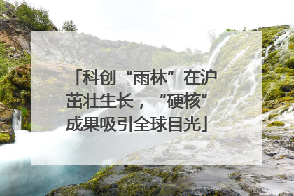 科创“雨林”在沪茁壮生长，“硬核”成果吸引全球目光