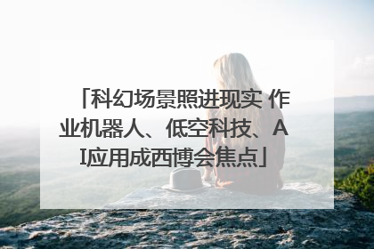 科幻场景照进现实 作业机器人、低空科技、AI应用成西博会焦点
