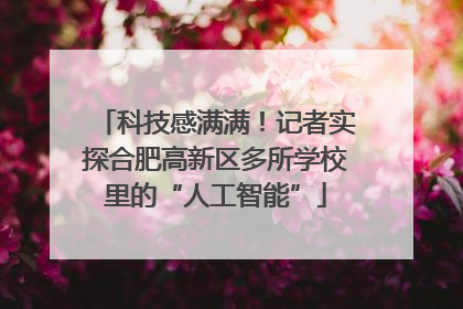 科技感满满！记者实探合肥高新区多所学校里的“人工智能”