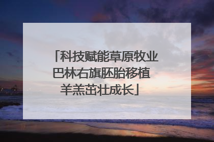科技赋能草原牧业 巴林右旗胚胎移植羊羔茁壮成长