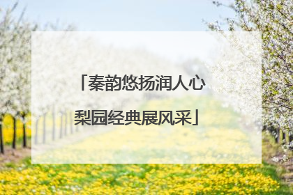 秦韵悠扬润人心 梨园经典展风采