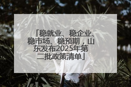 稳就业、稳企业、稳市场、稳预期，山东发布2025年第二批政策清单
