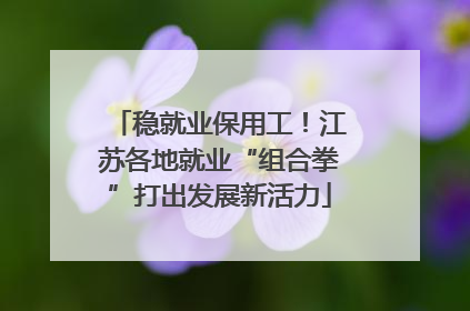 稳就业保用工！江苏各地就业“组合拳”打出发展新活力