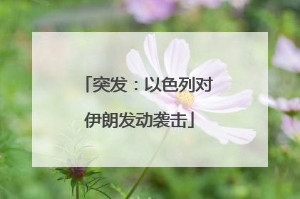 突发：以色列对伊朗发动袭击