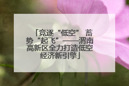 竞逐“低空” 蓄势“起飞”——渭南高新区全力打造低空经济新引擎