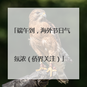 端午到，海外节日气氛浓（侨界关注）