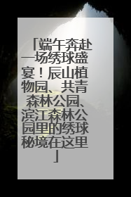 端午奔赴一场绣球盛宴！辰山植物园、共青森林公园、滨江森林公园里的绣球秘境在这里