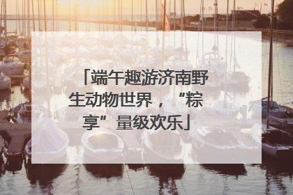 端午趣游济南野生动物世界，“粽享”量级欢乐