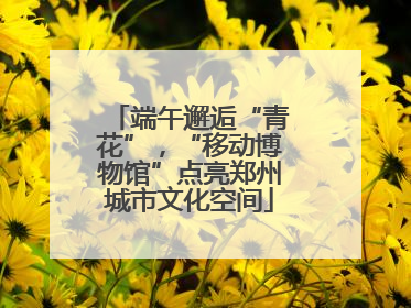 端午邂逅“青花”，“移动博物馆”点亮郑州城市文化空间