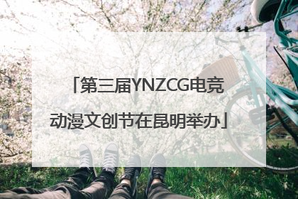 第三届YNZCG电竞动漫文创节在昆明举办