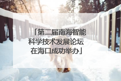 第二届南海智能科学技术发展论坛在海口成功举办