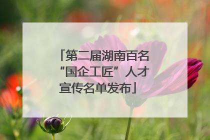 第二届湖南百名“国企工匠”人才宣传名单发布