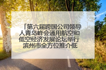 第六届跨国公司领导人青岛峰会通用航空和低空经济发展论坛举行 滨州市全方位推介低空经济发展优势