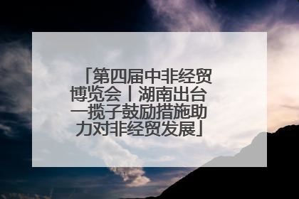 第四届中非经贸博览会丨湖南出台一揽子鼓励措施助力对非经贸发展