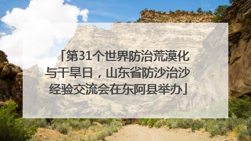 第31个世界防治荒漠化与干旱日，山东省防沙治沙经验交流会在东阿县举办