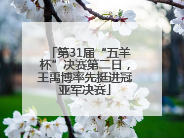 第31届“五羊杯”决赛第二日，王禹博率先挺进冠亚军决赛