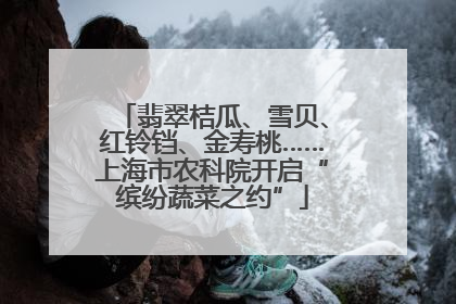 翡翠桔瓜、雪贝、红铃铛、金寿桃……上海市农科院开启“缤纷蔬菜之约”