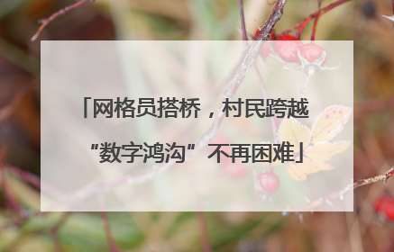 网格员搭桥，村民跨越“数字鸿沟”不再困难