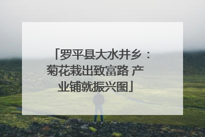 罗平县大水井乡：菊花栽出致富路 产业铺就振兴图