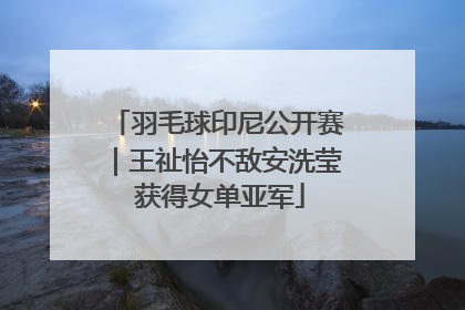 羽毛球印尼公开赛｜王祉怡不敌安洗莹 获得女单亚军