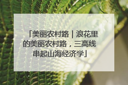 美丽农村路｜浪花里的美丽农村路，三高线串起山海经济学