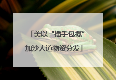 美以“插手包揽”加沙人道物资分发