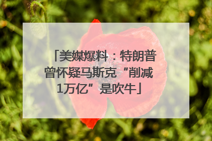 美媒爆料：特朗普曾怀疑马斯克“削减1万亿”是吹牛