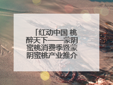 红动中国 桃醉天下——蒙阴蜜桃消费季暨蒙阴蜜桃产业推介会成功举办