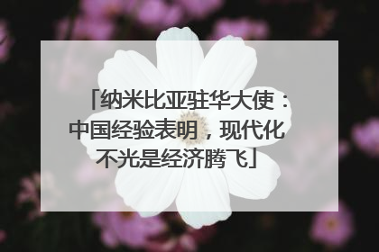 纳米比亚驻华大使：中国经验表明，现代化不光是经济腾飞