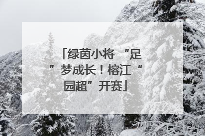 绿茵小将 “足”梦成长！榕江“园超”开赛