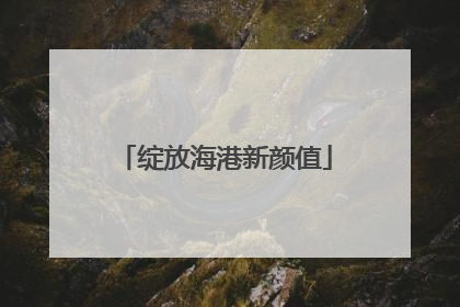绽放海港新颜值