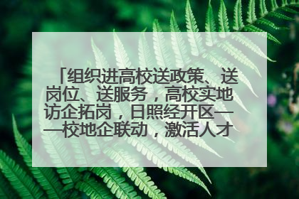 组织进高校送政策、送岗位、送服务，高校实地访企拓岗，日照经开区——校地企联动，激活人才发展“引擎”