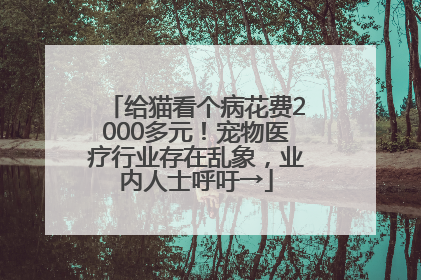 给猫看个病花费2000多元！宠物医疗行业存在乱象，业内人士呼吁→