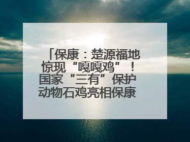 保康：楚源福地惊现“嘎嘎鸡”！国家“三有”保护动物石鸡亮相保康沿河公园