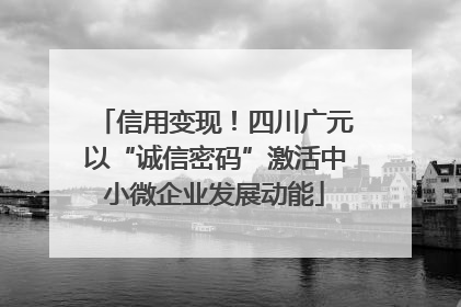 信用变现！四川广元以“诚信密码”激活中小微企业发展动能
