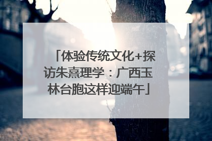 体验传统文化+探访朱熹理学：广西玉林台胞这样迎端午