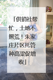 供销社帮忙，土地不撂荒！朱家庄片区托管种高粱促增收