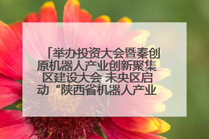 举办投资大会暨秦创原机器人产业创新聚集区建设大会 未央区启动“陕西省机器人产业聚集区”建设