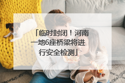 临时封闭！河南一地6座桥梁将进行安全检测