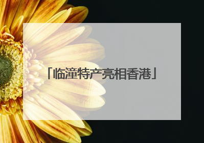 临潼特产亮相香港