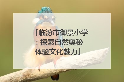 临汾市御景小学：探索自然奥秘 体验文化魅力