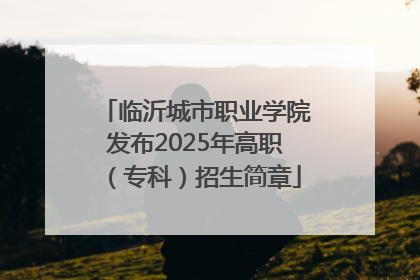 临沂城市职业学院发布2025年高职（专科）招生简章