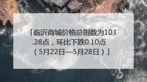 临沂商城价格总指数为103.28点，环比下跌0.10点（5月22日—5月28日）