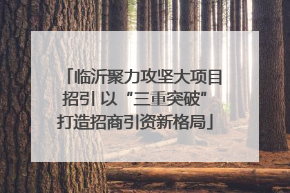 临沂聚力攻坚大项目招引 以“三重突破”打造招商引资新格局