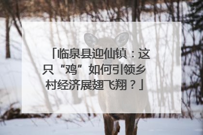 临泉县迎仙镇：这只“鸡”如何引领乡村经济展翅飞翔？