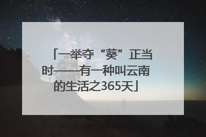 一举夺“葵”正当时——有一种叫云南的生活之365天