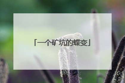 一个矿坑的蝶变