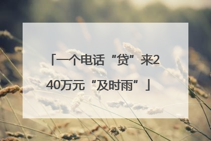一个电话“贷”来240万元“及时雨”