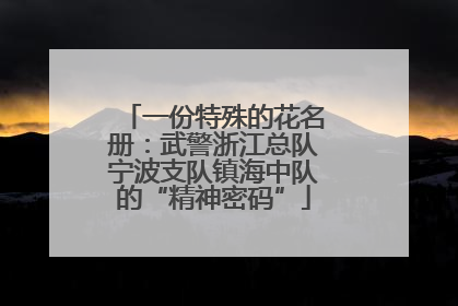 一份特殊的花名册：武警浙江总队宁波支队镇海中队的“精神密码”